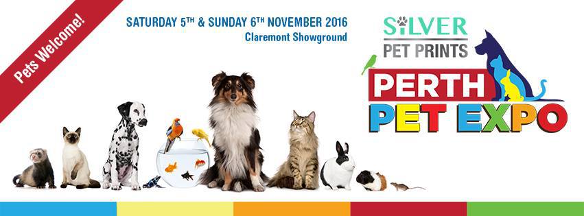 Chemdry Express exhibiting at the annual Perth Pet Expo
