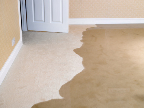 Chem-Dry can help you with water damage restoration